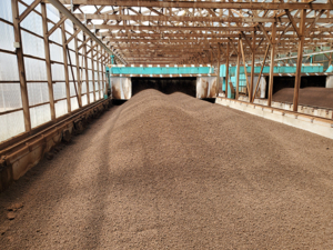 20年目の発酵造粒装置